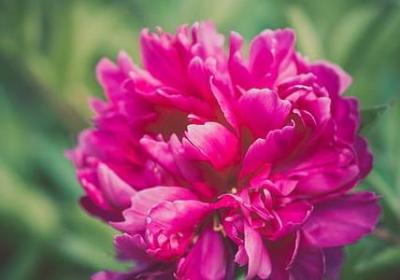 热情地什么填词语(共40句)