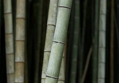 温暖的什么填词语(共10句)