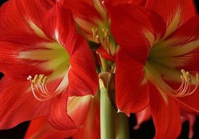 禾田是词语吗(必备40句)