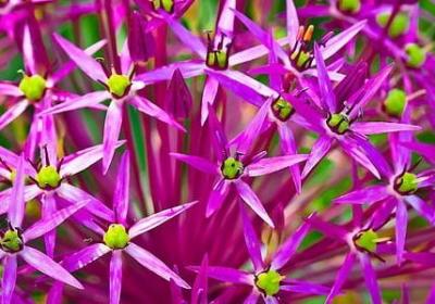 稳健牢固严实的词语(20句)