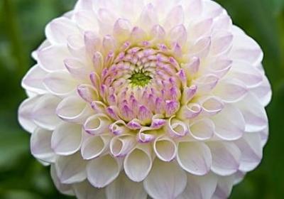 神奇什么什么四字词语(精选20句)