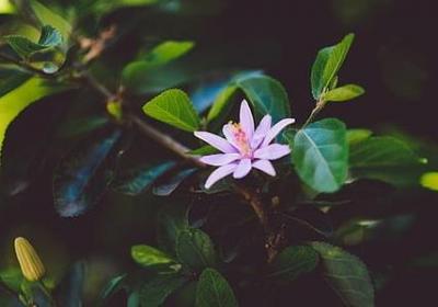 祝女儿生日快乐的词语(必备81句) 祝女儿生日快乐的词语(必备81句)