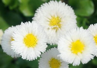 绿油油类似的词语(热门60句)