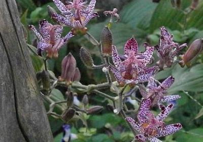 考组词有哪些词语(合集20句)