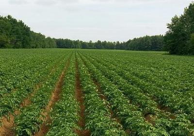 粉身碎骨类似的词语(合集40句)