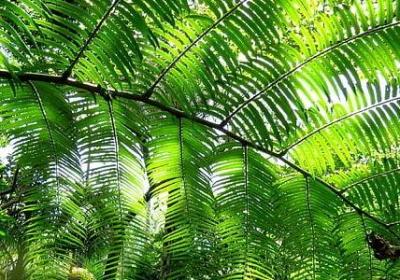 者能组什么词语(热门39句) 者能组什么词语(热门39句)