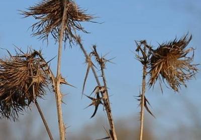 给的组词有哪些词语(合集12句) 给的组词有哪些词语(合集12句)