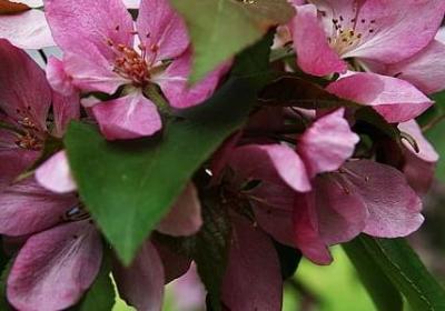 至字怎么组词语(精选50句)