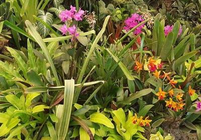 自言自语词语接龙(共26句) 自言自语词语接龙(共26句)