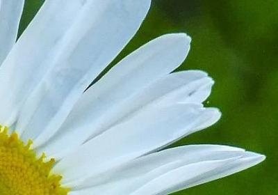 糕组词语有哪些(必备50句)