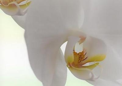 给的多音字组词语(推荐70句)