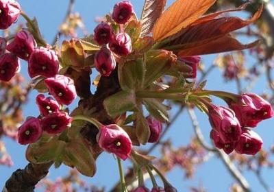 表示大笑的词语(实用60句) 表示大笑的词语(实用60句)