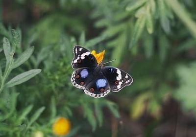 表示心忧民众的词语(合集60句) 表示心忧民众的词语(合集60句)