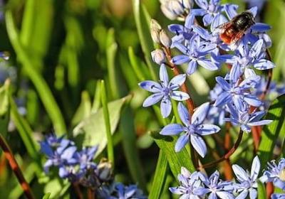 表示下棋能手的词语(80句)