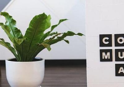 蓬组词四字词语(精选40句)