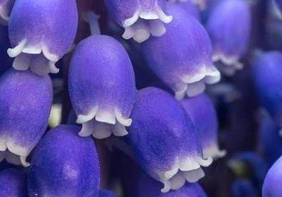 言什么不一四字词语(共36句)