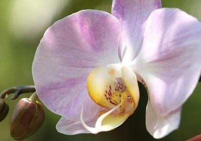 词语对仗勤劳致富(推荐11句)