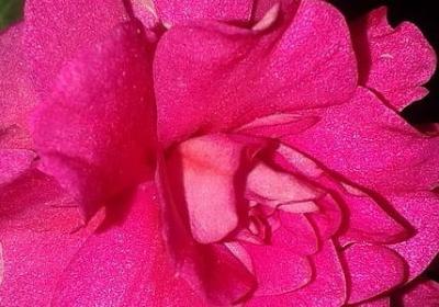 说的词语接龙(精选60句)