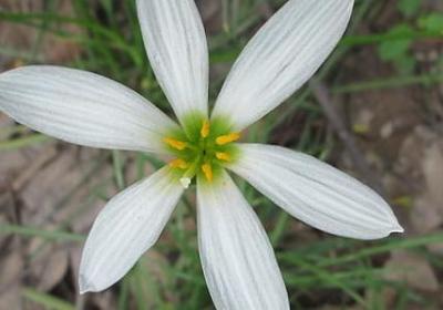 象征希望的词语(热门70句)