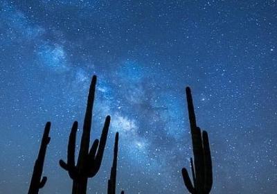 贵贱照样子写词语(实用10句)