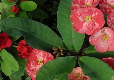 表达犯错的词语(共50句)