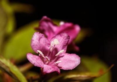 语组词有哪些词语有哪些(实用71句)