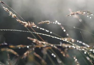 有关谦虚的名言(70句)