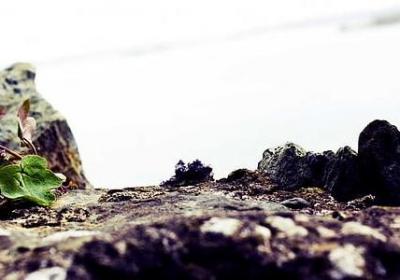 赞扬领导的词语(必备50句)