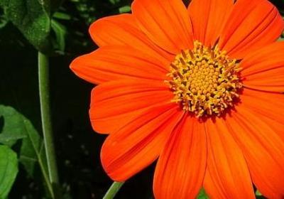 有关友情的名言(合集49句)