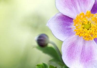 有关家乡的名言(合集50句)