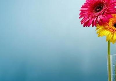 星云大师名言(实用80句)