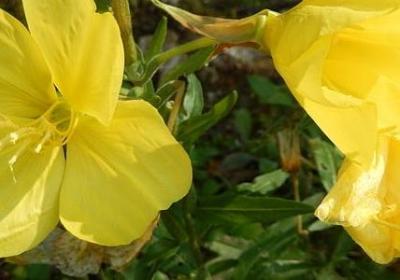 有关诗的名言(实用40句) 有关诗的名言(实用40句)