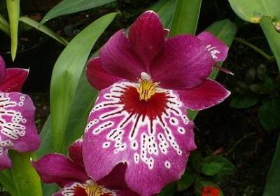 有关探索的名言(优选60句)