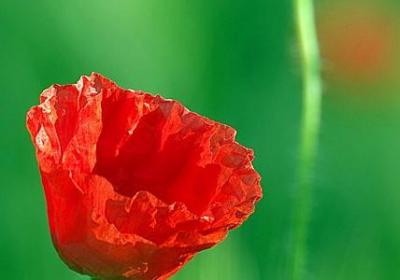 铺什么盖什么词语(推荐70句)