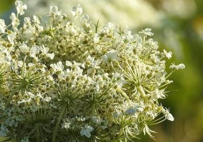 沉默 名言(汇总60句) 沉默 名言(汇总60句)