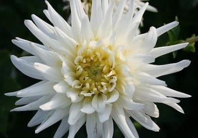 沉默名言(80句) 沉默名言(80句)