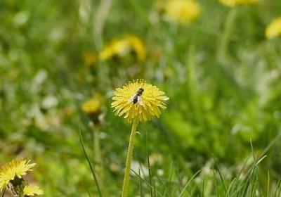 永不放弃的名言(80句)