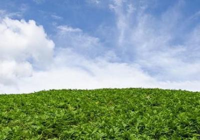 母爱的名人名言(实用20句)