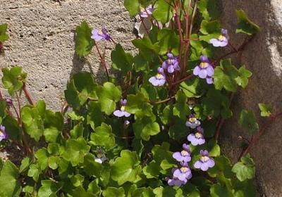 配组什么词语(共20句)