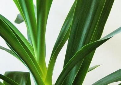 重感情的词语(精选20句)