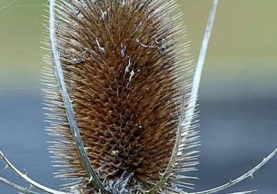 洁身自好的名言(通用70句)