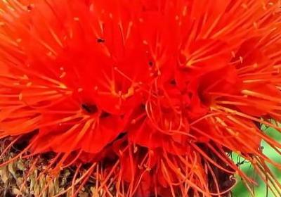 连绵不断的什么填词语(优选10句)