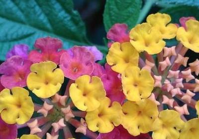 进的四字词语(热门70句)