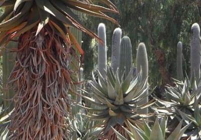 清正廉洁的名言(实用100句)