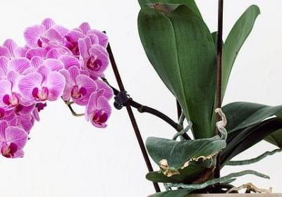 钥组词语有哪些(汇总51句) 钥组词语有哪些(汇总51句)