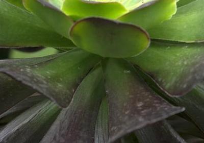 爱国古诗名言(精选100句)