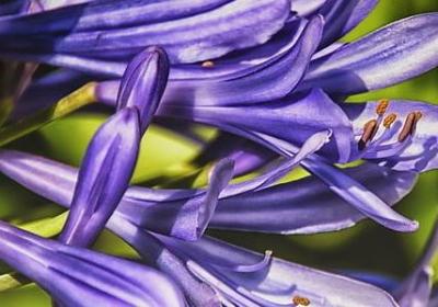 激励孩子的名言(热门80句)