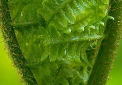 激励学生的名言(通用68句)