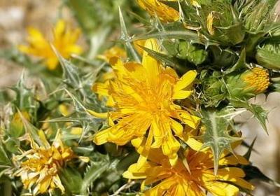 激励人心的名言(精选80句)