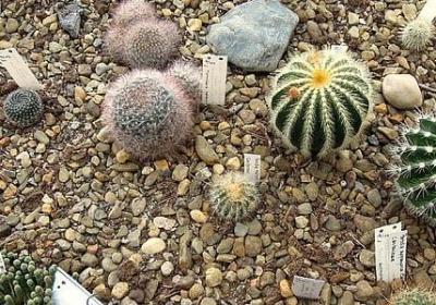 珍惜时间的名言有(合集70句)